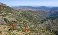 Five fields in sykopetra, Limassol 