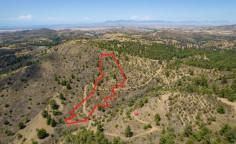 Agricultural field in Xyliatos, Nicosia 