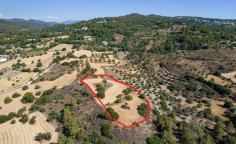 Shared agricultural field in Lysos, Paphos Shared agricultural field in Lysos, Paphos