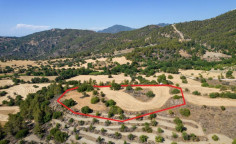 Shared agricultural field in Lysos, Paphos 