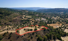 Shared agricultural field in Lysos, Paphos Shared agricultural field in Lysos, Paphos