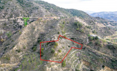 Shared agricultural field in zoopigi, Limassol 