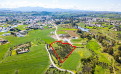 Shared residential field in Dali, Nicosia , Nicosia