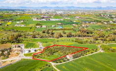 Shared residential field in Dali, Nicosia , Nicosia