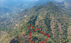 Field in Arakapas, Limassol 