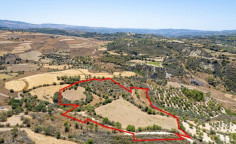 Agricultural field in thrinia, Paphos 