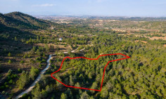 Agricultural field in Klirou, Nicosia 