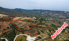 Agricultural field in Anglisides, Larnaca 
