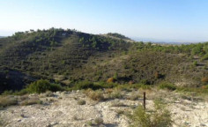 Agricultural for sale in Asgata