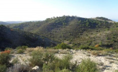 Agricultural for sale in Asgata