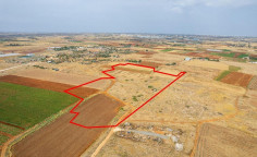 Shared agricultural field in Liopetri, Famagusta 