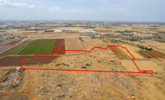 Shared agricultural field in Liopetri, Famagusta 