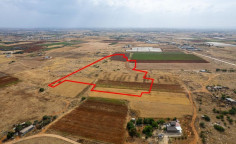 Shared agricultural field in Liopetri, Famagusta 