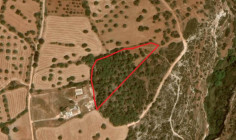 Shared field in Neo Chorio, Paphos 