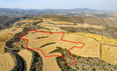 Shared field in choirokoitia, Larnaca 
