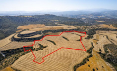 Shared field in choirokoitia, Larnaca 