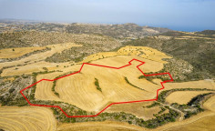 Shared field in choirokoitia, Larnaca 