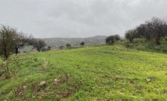 Shared residential field in Kelokedara, Paphos , Paphos