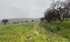 Shared residential field in Kelokedara, Paphos , Paphos