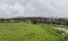 Shared residential field in Kelokedara, Paphos , Paphos