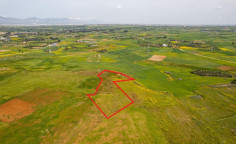 Agricultural 4340 m2 for sale in Palaiometocho