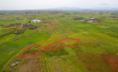 Agricultural 4340 m2 for sale in Palaiometocho