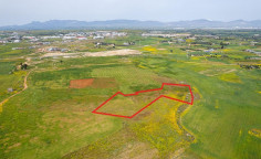 Agricultural 4340 m2 for sale in Palaiometocho