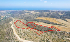 Fields in choirokoitia, Larnaca 