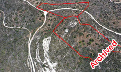 Two fields in Asgata, Limassol 