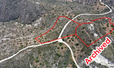 Two fields in Asgata, Limassol 