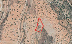 Agricultural 9031 m2 for sale in Pachna