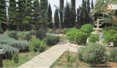 For rent, house, Nicosia, gsp area, 400m&sup2;, 2,500m&sup2;, &euro;3,700 