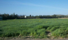 For sale, land, Nicosia, Alampra, 11,587m&sup2;, &euro;575,000 , Nicosia