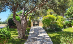 5 bedroom furnished house with swimming pool to rent in Aphrodite Hills