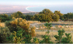 3 bedroom house for sale in Souni-Zanakia