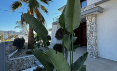 Luxury 3 bedroom house with swimming pool for sale in Pyrgos