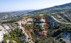 Agricultural field in Pera Pedi, Limassol 