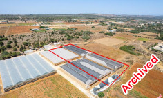 Agricultural field with greenhouses in Agia Napa, Famagusta 