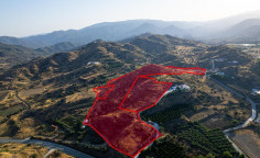 Three fields in Eptagoneia, Limassol 