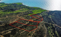 Tourist fields in Pissouri, Limassol , Limassol