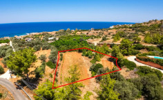 (agricultural) in Pomos, Paphos for sale , Paphos
