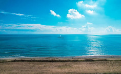 First line touristic field in Mazotos, Larnaca , Larnaca