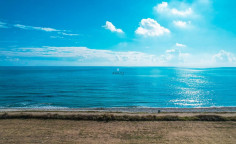 First line touristic field in Mazotos, Larnaca , Larnaca