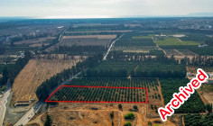 Industrial land under division in Kato Polemidia, Limassol 