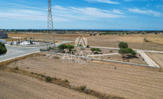 Residential 1150 m2 for sale in Pyla, Larnaca