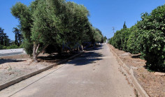 Spacious furnished six bedroom house in quiet Asomatos 