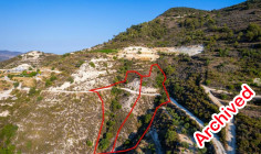 Two fields in Apsiou, Limassol 