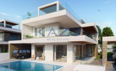 Seafront villa with pool and stunning views Chloraka 