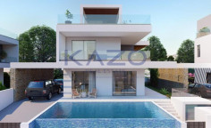 Seafront villa with pool and stunning views Chloraka 