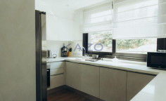 Astonishing four bedroom penthouse in Panthea 